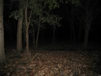 Chicago Ghost Hunters Group investigates Robinson Woods (220).JPG